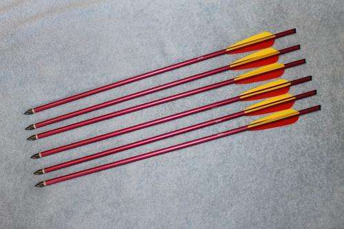 6x 20"  (510mm) Aluminium crossbow bolts (arrows) with steel tips